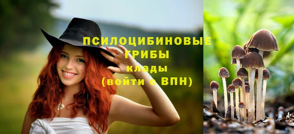 спайс Абаза