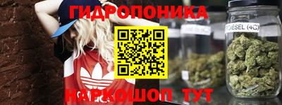 хмурый Конаково