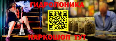 сатива Коммунар