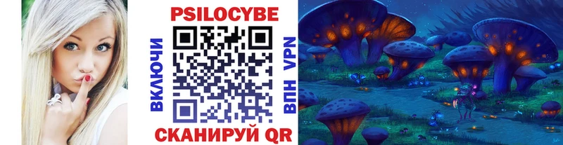 OMG как зайти  Нижнекамск  Галлюциногенные грибы Psilocybe  где можно купить  
