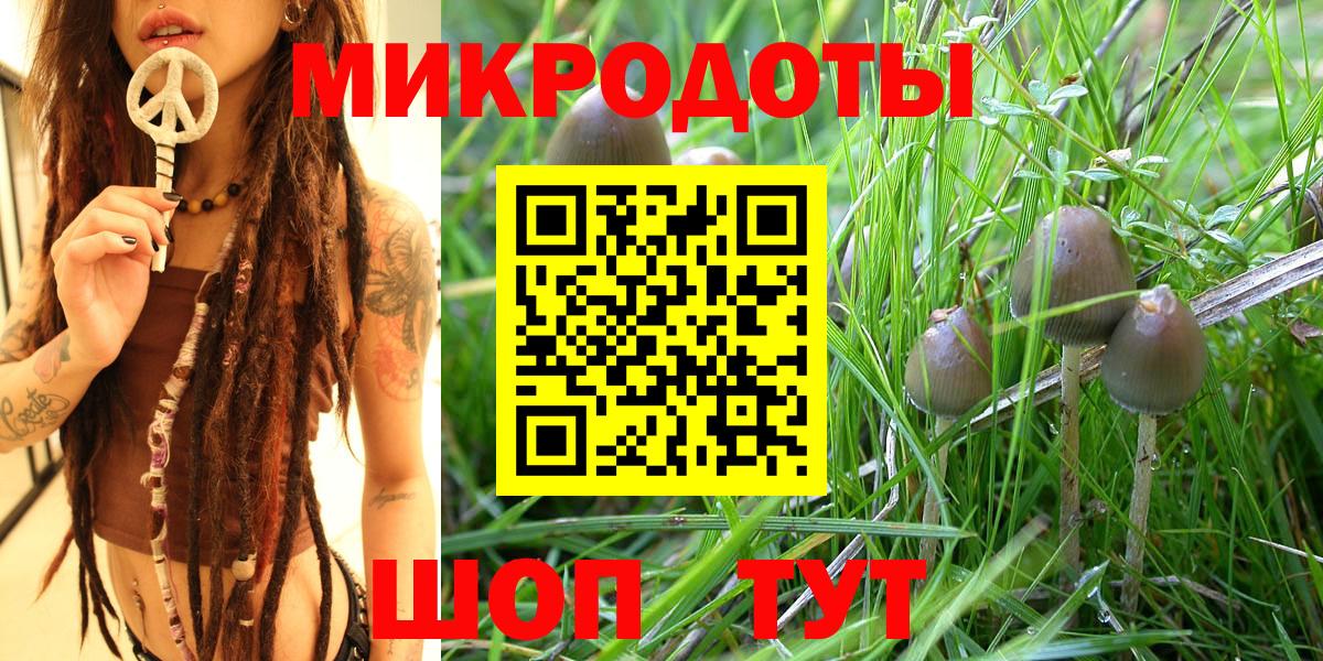 Галлюциногенные грибы Psilocybine cubensis  Вход с VPN  Нижнекамск 
