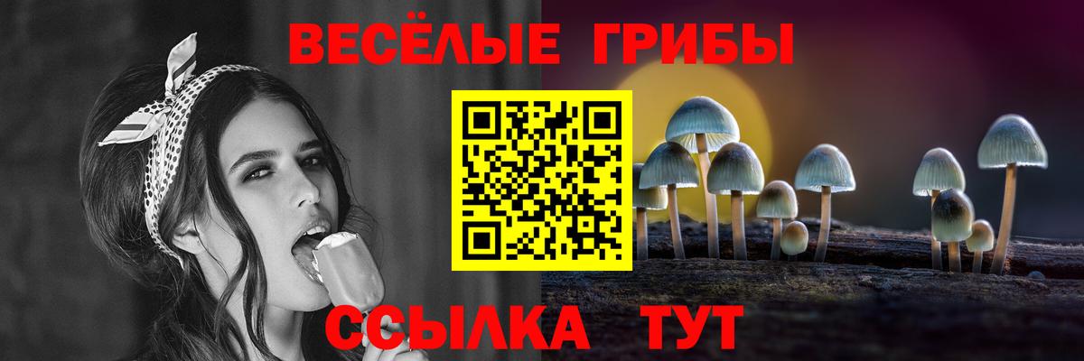 Галлюциногенные грибы GOLDEN TEACHER Нижнекамск